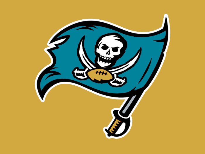 Tampa Bay to Jacksonville colors logo iron on transfers
